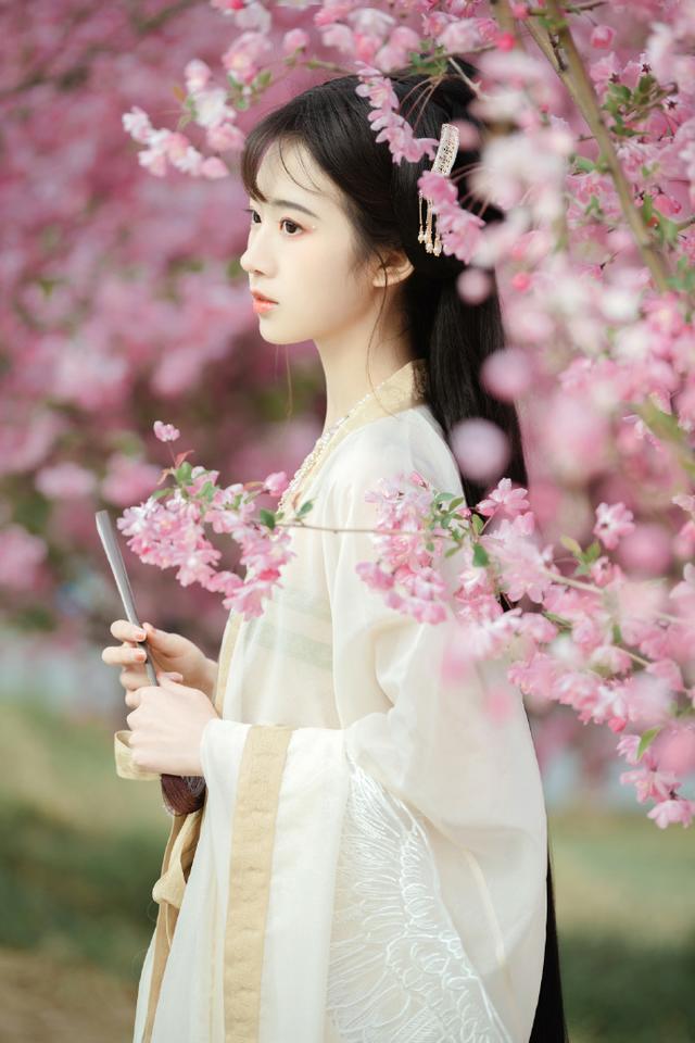 精品合集编辑推荐